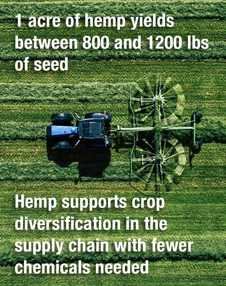 Hemp Seed Harvest Facts